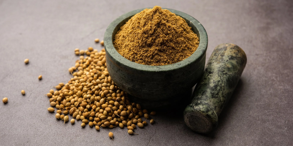 Coriander Powder Exporter in Gujarat